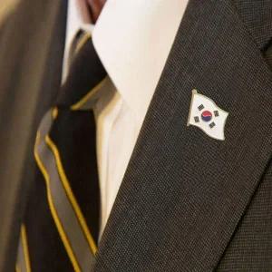 [골드스마일]휘날리는 태극기 뱃지 애국 국경일 기념 배찌 대한민국 국기 기념일