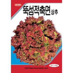 (씨앗) 뚝섬 적축면상추 - 상추 씨앗 종자 - 소포장 텃밭용 - 4g