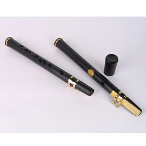 미니색소폰 포켓삭스 사푼  Xaphoon Pocket Sax