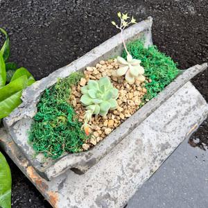 옛기와 인테리어 돌 빈티지 다육화분 야생화 기와장 기왓장 기와 화분