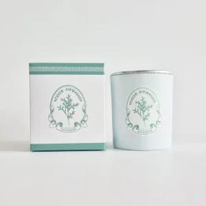 피에브 에어워셔 고체 탈취제 250g 피톤치드향