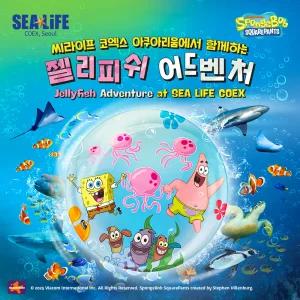 [서울/삼성] 코엑스아쿠아리움+VR PKG 11월