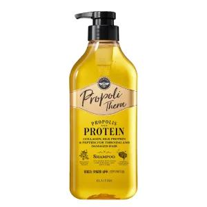 엘라스틴 프로폴리테라 샴푸 힘없는 모발용 500ml 2개 (사용기한 26년 9월)