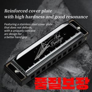 블루스 하모니카 입 오르간 10 홀 C 키 케이스 포함 전문 연주자 학생 선물 성인용 다이아토닉