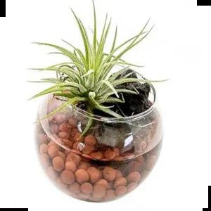 내 책상위에 황토볼 천연 가습기 - 1인세트 가습기만들기 황토볼가습기 OL952