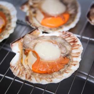 [산지플러스] 통영 홍가리비 3kg (75미내외)