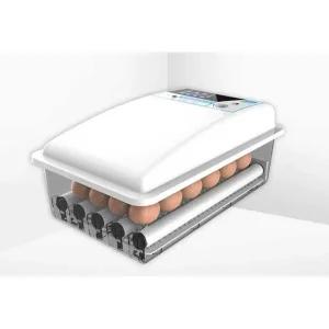 병아리부화기 계란부화기 대용량 계란 병아리 거위