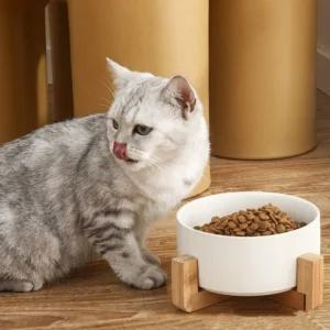 반려동물 우드받침 도자기식기 16cm 화이트그릇 대세트 급식기 식기 고양이 고양이밥
