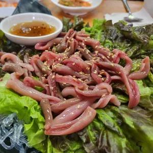 남해안 자연산 생물 개불 참개불 회 10미