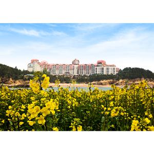 소노벨 변산리조트 (구, 변산대명/부안/서해안리조트/채석강)