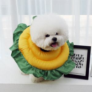 초코펫하우스 해바라기 넥카라/강아지 고양이 넥카라/피부보호