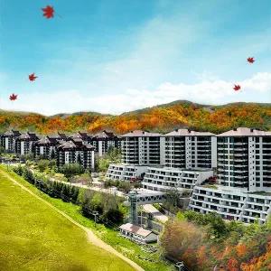 [평창] 모나 용평리조트 25/26 ROOM ONLY (~26/02/28)