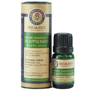 바이오앤바이오 유칼립투스라디아타에센셜오일/유기농인증오일/에코서트인증/프랑스 사노플로레 직수입원액