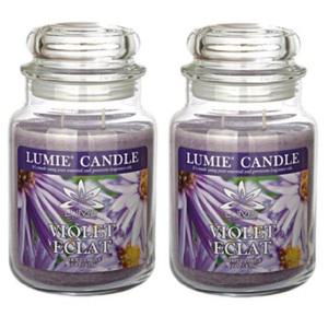 르미에 630g 기본형 라지자 캔들_바이올렛에끌라2개