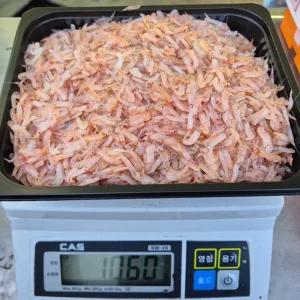 국내산 김장용 급냉 생새우 동백하 1kg 2kg 냉동새우 김치용 김장새우