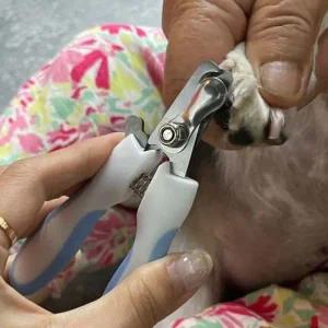 고양이발톱깎기 강아지 고양이 발톱 관리기 홈케어 발톱깎이 애완동물 정리기 고양이손톱깎이