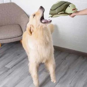 강아지노즈워킹 애견 간식 찾는 놀이 노즈워크 귀여운 인형 토이 반려견용인형