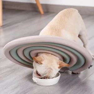 반려동물 더블 쿠션 넥카라 강아지 고양이 견넥 묘넥 카라 용품