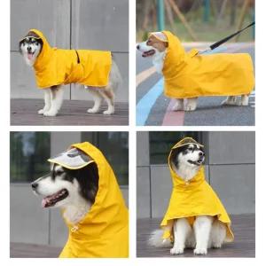강아지 우비 비풍당당 비옷 레인코트 귀여운우산 중형견 바람막이 올인원 소형견 애견 반려견 판초