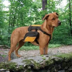 커고 완더 팩애완견용배낭 강아지팩 애견외출가방 산책 하네스 개배낭 개하네스