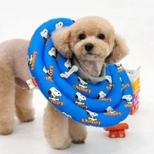 패리스독 피너츠 프린트 넥카라 (블루) XL중성화 강아지목보호대 애견 카라 고양이 용품 수술용 쿠션