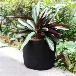 [골드스마일]가드닝 부직포 화분 2p 세트 30x25cm 감자 상추