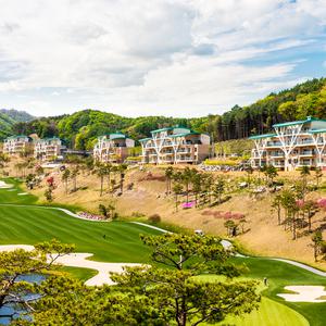 소노펠리체 빌리지 비발디파크 조식 워터파크 패키지 소노호텔앤리조트 오션월드 (강원 홍천) 룸온리