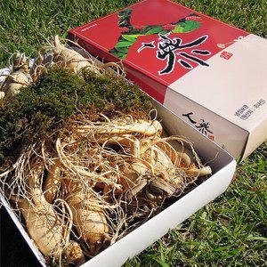 [풍기인삼] 6년근 난발삼(대) 750g(9~10뿌리)