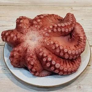 대왕 자숙 문어 1kg급 제수용