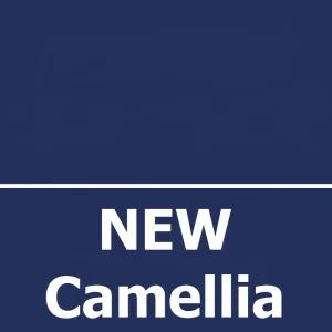 부산출발 카멜리아 정통 북큐슈온천 패키지여행 3박4일(배편 선박여행 큐슈)