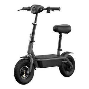전동 킥보드 스쿠터 2륜 미니 나들이 성인용 바이크