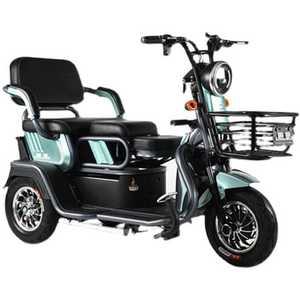 3발오토바이 삼륜 스쿠터 삼륜오토바이 전동차 어르신