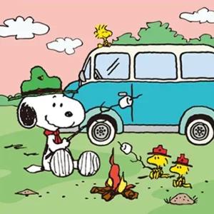 DIY 그리기 페인팅 피너츠 스누피 캠핑 25X25 (WFGOZD2)