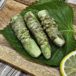 갈아먹는 생와사비 뿌리 고추냉이 3-4뿌리 70g