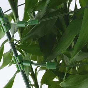 [골드스마일]식물 지지대 울타리 화초 가드 텃밭 받침대