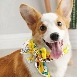 [골드스마일]강아지 고양이 쿨링 아이스 쿨 스카프 더위 해소 목걸이