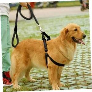 [골드스마일]대형견리드줄 로프 대형견 목줄+하네스+리드줄 세트(XS) 애완산책줄