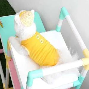 [골드스마일]티셔츠 모자 옐로우 강아지커플룩 시츄옷 댕댕이옷 예쁜강아지옷