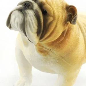 형상 피규어 어린이 장난감 실물 같은 입체감 유아용 장식품