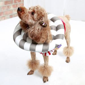 더플래 강아지 고양이 도넛 넥카라 깔대기 목보호대