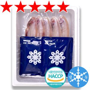 반건조 박대 26-39cm 5-10마리 위생건조 진공포장 박대구이