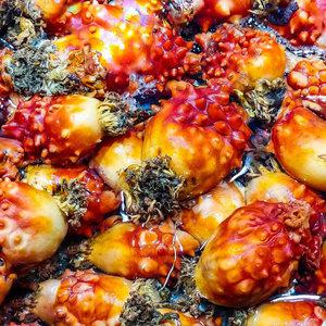 통영 제철 활멍게 깐멍게