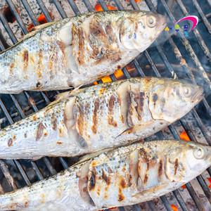 국내산 냉동 전어 1kg 14-16미내외 구이용