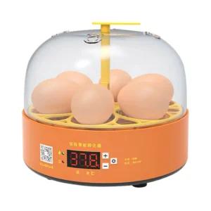 가정용 6구 저소음 병아리부화기 1p 온도조절 자동회전 조류 달걀 계란 부화기계
