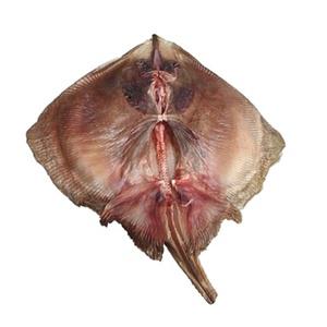 (1kg) 4-6미 간재미 반건조생선 말린간재미 건조간재미 간자미찜