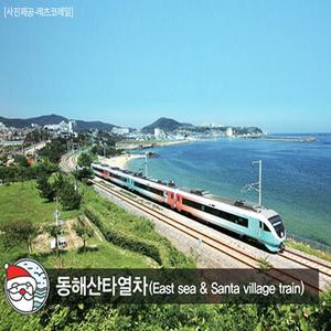 [KTX+동해산타열차]낭만의 정동진과 분천산타마을+청량산 당일여행