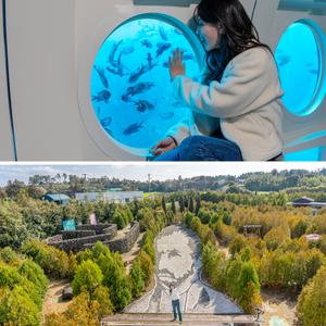 [제주] 우도잠수함+고흐의정원/가족여행/제주잠수함/박물관/우도/이색체험