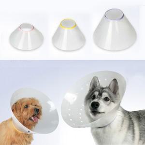 강아지 고양이 넥카라 중성화 플라스틱 길이조절