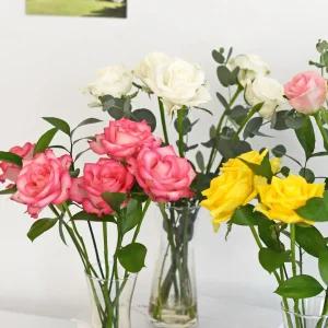 생화 장미 반단 그린소재 번들 오래가는꽃 꽃선물 화병 포장 경매 꽃배달 정기구독