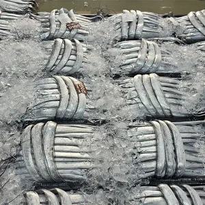 국산 생물 먹갈치 3kg 내외(약 13미)